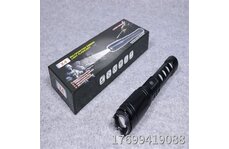 防身電棒多少錢一支？